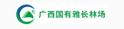 广西国有雅长林场打造改版升级全新响应式网站