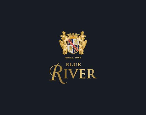 澳佳蓝河打造高端品牌中英文网站
