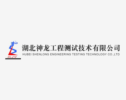 神龙工程测试打造全新高端官网平台